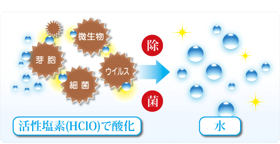 有効成分が有機物に反応し除菌、無臭成分＋水に！